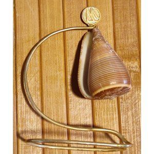Brown Fig Cone Conus Figulinus Seashell Hanging Display Nautical Decor 3.5x3x1.5